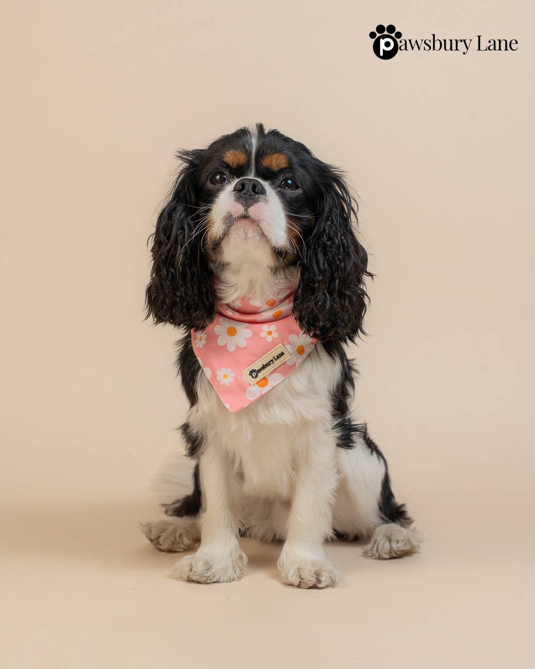 Pink Daisy Pet Bandana