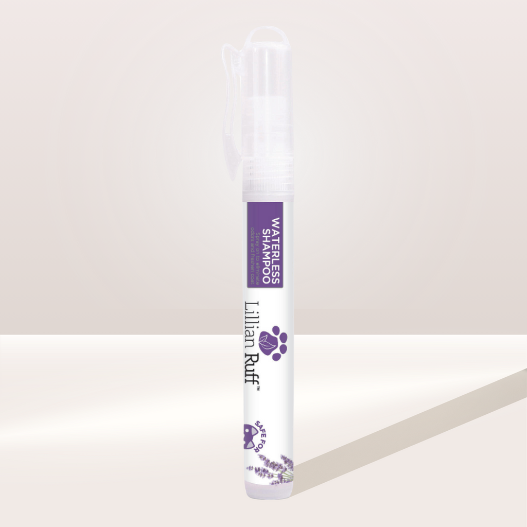 Jet Set Pet Dog Travel Kit