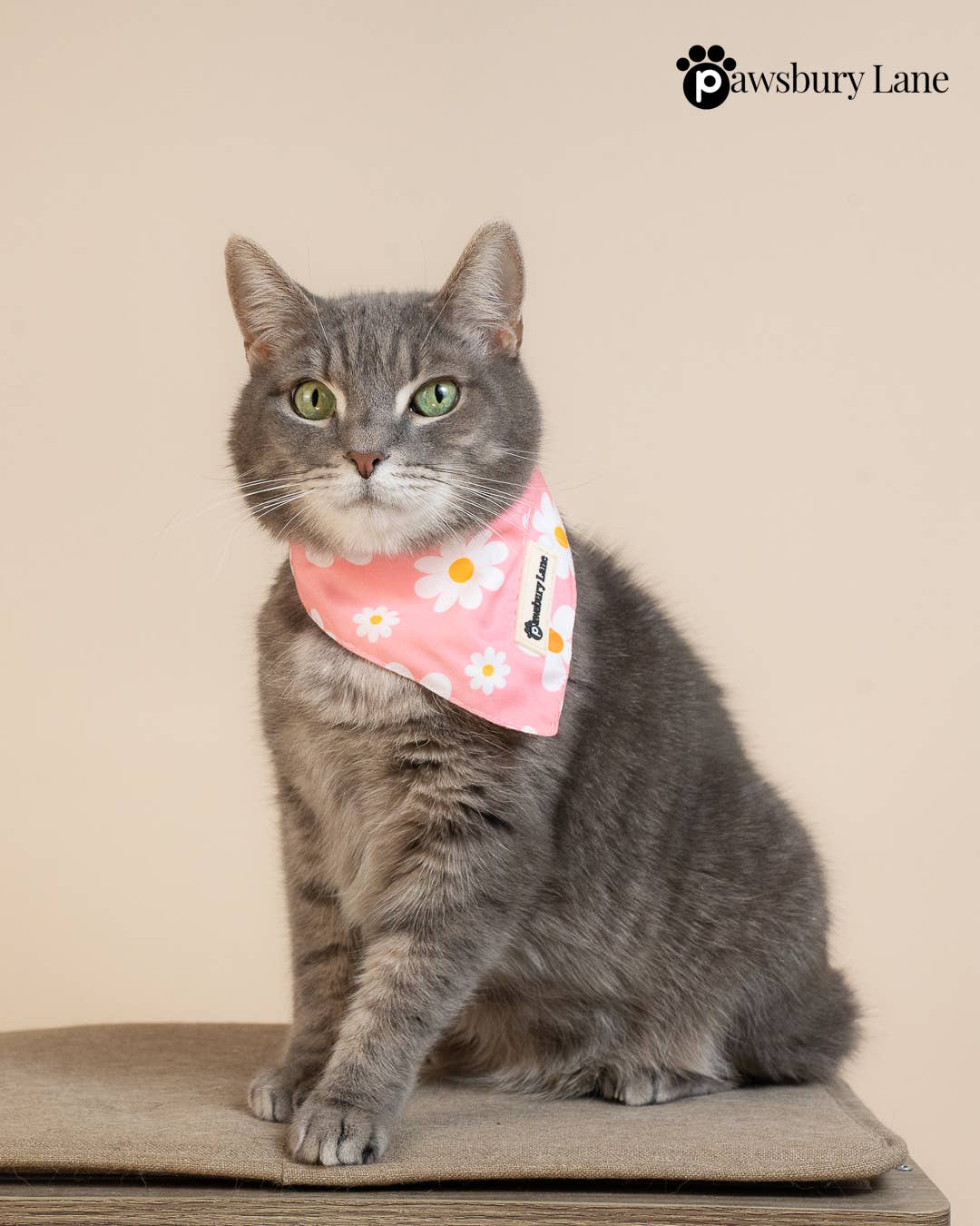 Pink Daisy Pet Bandana