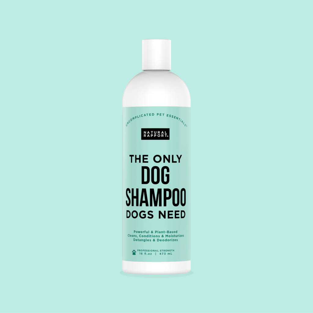 The Only Dog Shampoo Dogs Need