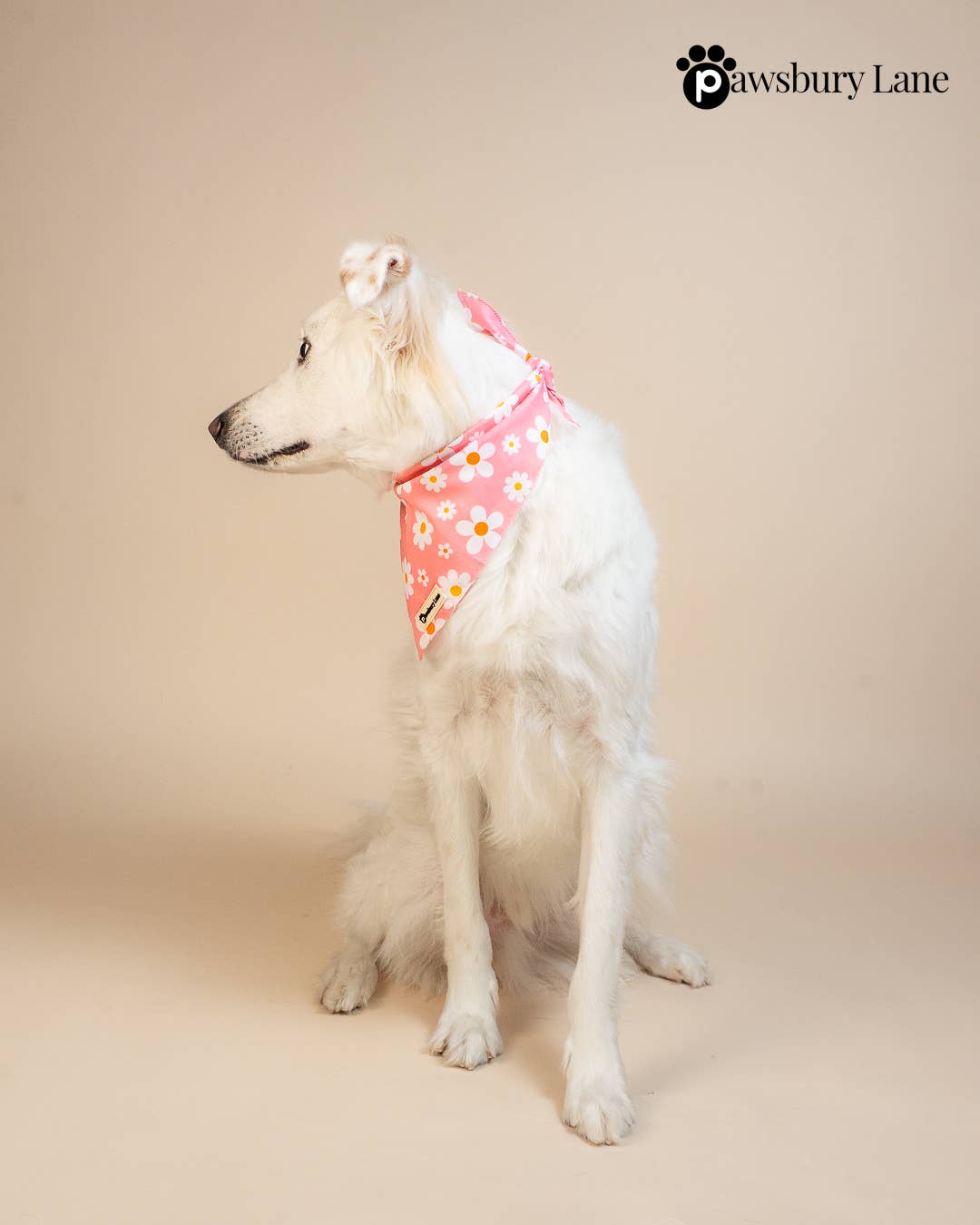 Pink Daisy Pet Bandana