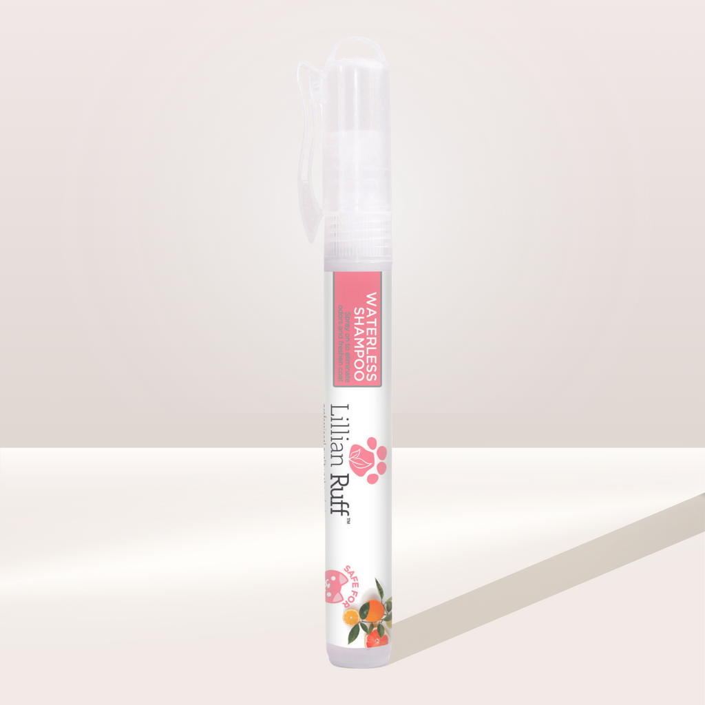 Jet Set Pet Dog Travel Kit