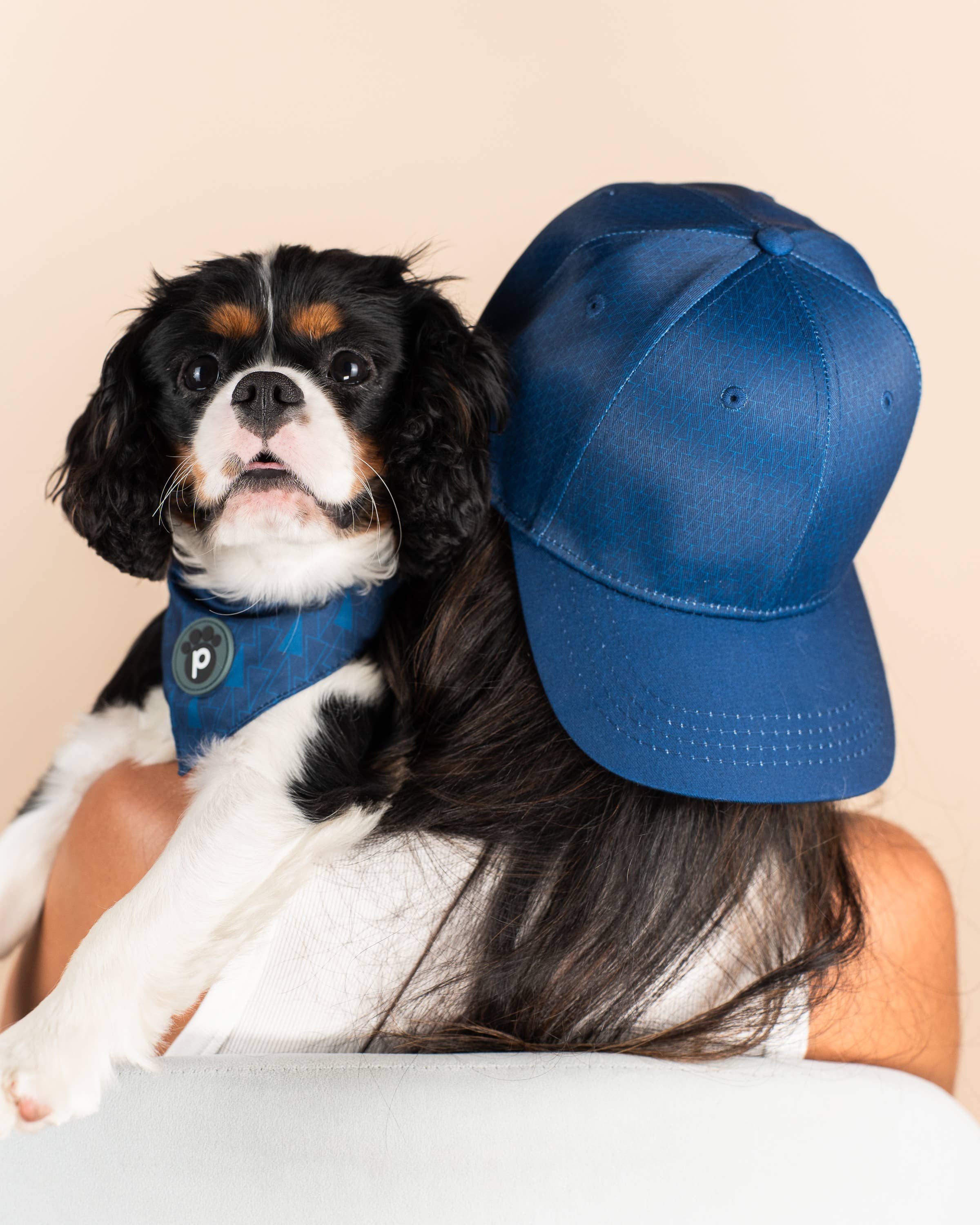 Blue Matching Pet & Owner Baseball Cap & Pet Bandana