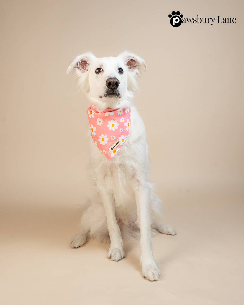 Pink Daisy Pet Bandana