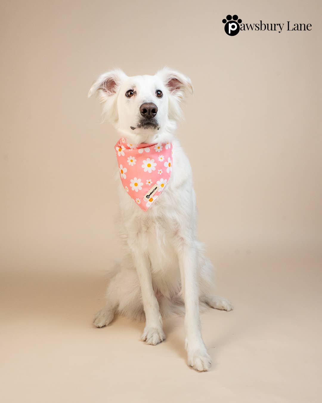Pink Daisy Pet Bandana